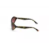 WEB EYEWEAR Okulary przeciwsłoneczne damskie WE0288-6052F Havana Grey Gradient 60/18/125 mm