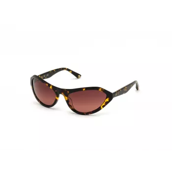 WEB EYEWEAR Okulary przeciwsłoneczne damskie WE0288-6052F Havana Grey Gradient 60/18/125 mm