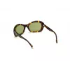 Okulary przeciwsłoneczne WEB EYEWEAR dla kobiet WE0289-5652N Havana Acetate Square Frame Brown Gradient Lens 56/19/130 mm