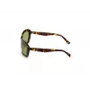 Okulary przeciwsłoneczne WEB EYEWEAR dla kobiet WE0289-5652N Havana Acetate Square Frame Brown Gradient Lens 56/19/130 mm