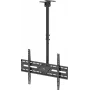 WENTRONIC Goobay Uchwyt sufitowy do telewizora XL 80175