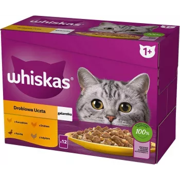 WHISKAS Sachet Jelly Drób, Kaczka, Indyk, Kurczak - Mokra karma dla kotów - 12x85 g