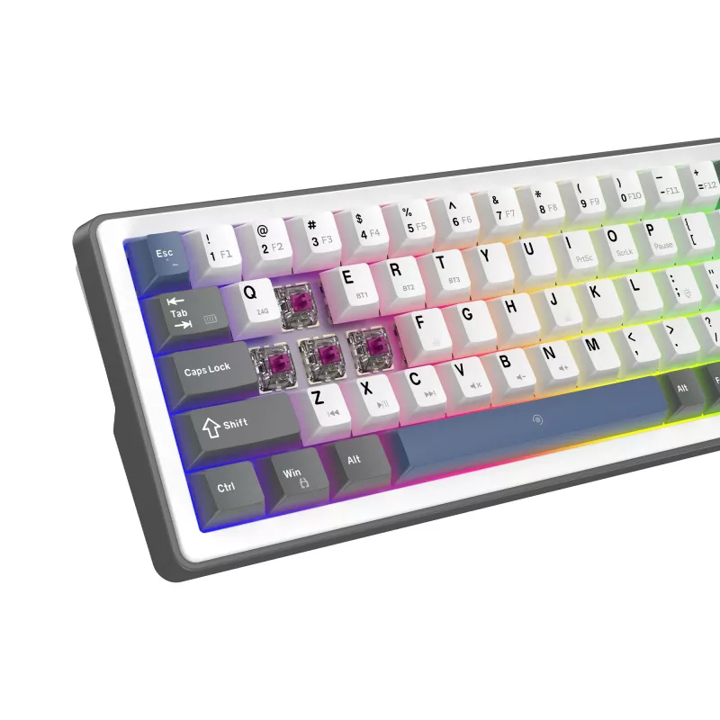 Biała klawiatura mechaniczna White Shark EXCALIBUR M (GK-009251) z przełącznikami Outemu Blue, podświetleniem RGB, układem US, biała