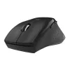 WINX DO ESSENTIAL Bezprzewodowa mysz 2.4 GHz Optyczna 1600 DPI Czarna