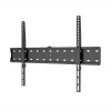 Uchwyt ścienny WINX MOUNT SIMPLE do telewizorów 14-42 cali, stały, VESA 75x75 do 200x200, 25 kg, czarny