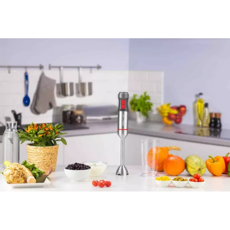 Zelmer ZHB4650 Vario Ręczny blender (1000W, stal nierdzewna, czarny/srebrny)
