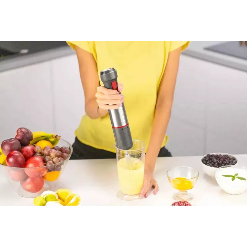 Zelmer ZHB4650 Vario Ręczny blender (1000W, stal nierdzewna, czarny/srebrny)
