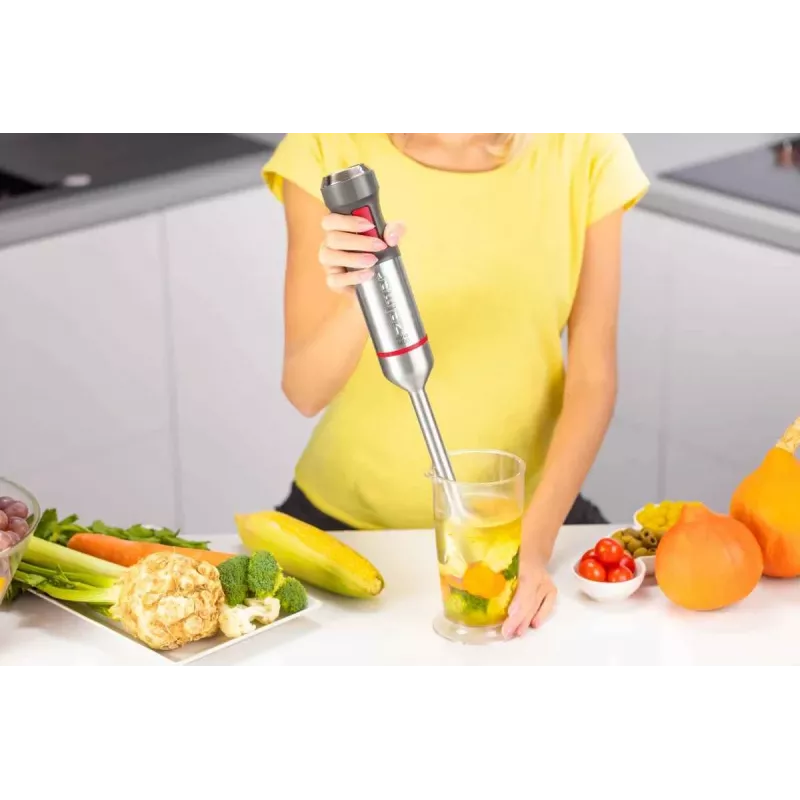 Zelmer ZHB4650 Vario Ręczny blender (1000W, stal nierdzewna, czarny/srebrny)
