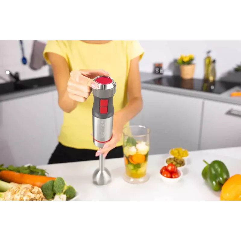 Zelmer ZHB4650 Vario Ręczny blender (1000W, stal nierdzewna, czarny/srebrny)